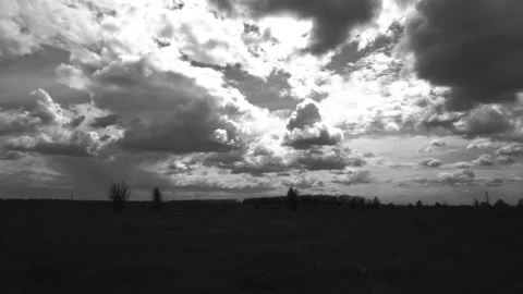 Meadow and sky Stock Footage 154428305