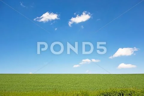 Meadow and sky Stock Photos