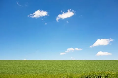 Meadow and sky Stock Photos