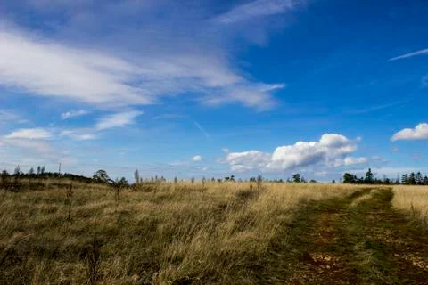 Meadow and sky Stock Photos