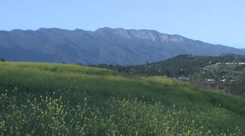 Meadow and the Topa Topa mountain in Ojai, California. Stock Footage 1033747