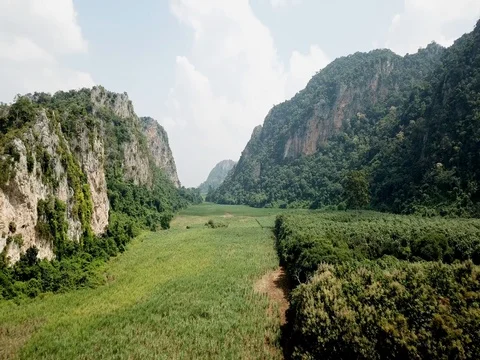 Meadow and trees between valley, Aerial view Stock Footage 83028811
