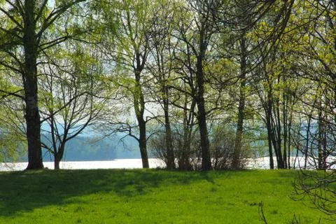 Meadow and trees by a lake in the spring Stock Photos