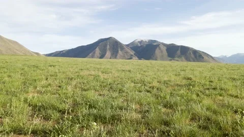 Meadow And Wasatch Mountain Range, Spanish Fork Utah, Low Angle Shot Stock Footage 154568465