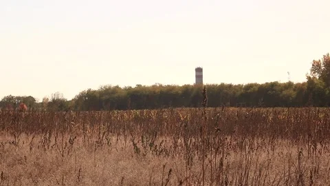 Meadow and watertower Stock Footage 166892826