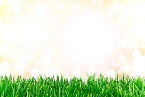 Meadow background Stock Photos