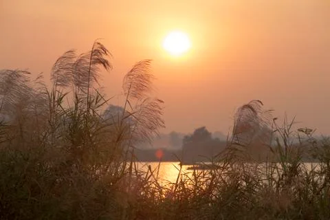 Meadow with the beautiful sunset Stock Photos