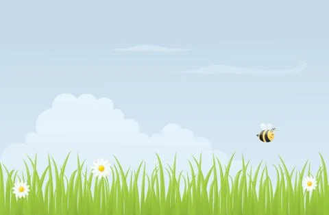 Meadow bee Stock Illustration
