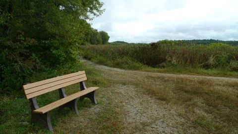 Meadow Bench Stock Photos