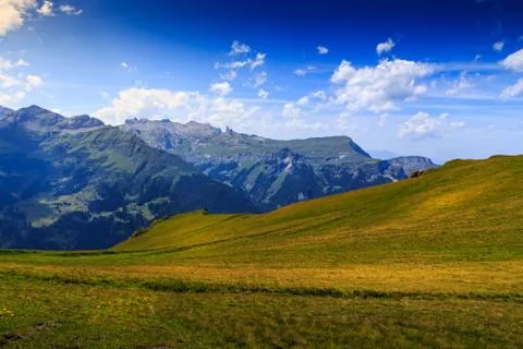 Meadow in Bernese Alps Stock Photos