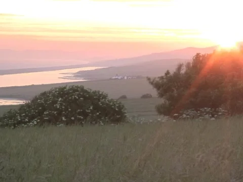 Meadow Bliss Stock Footage 490213