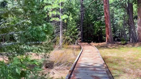 Meadow Boardwalk, Look to the Right Stock Footage 188817824