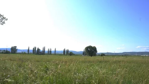 Meadow with camera movement and river in mid summer Stock Footage 111941421