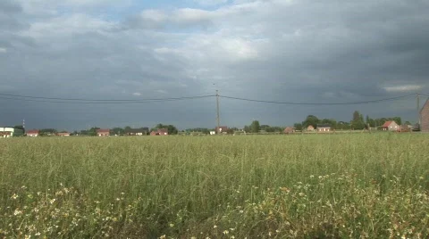 Meadow clouds and cityscape Stock Footage 836064