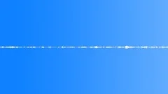 Meadow Cuckoo Birds Mono LoopSound Effect