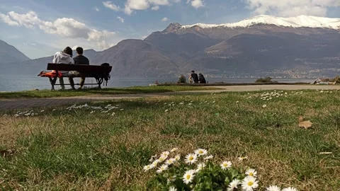 Meadow of daisies in front of Lake Como Stock-Footage 269043092