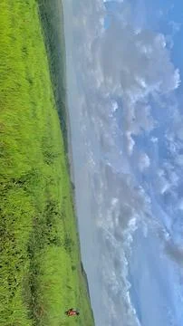 Meadow dan sky 库存照片