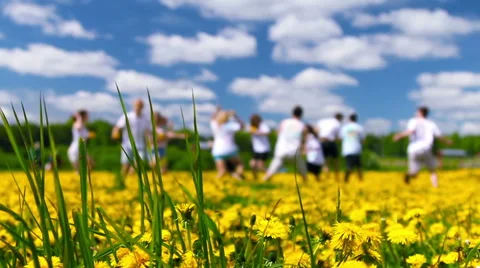 Meadow of dandelions, teens playing 库存影片 55027795