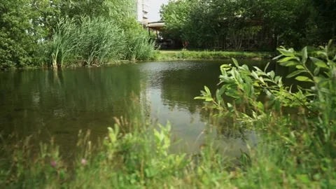 Meadow decorated in wedding style 動画素材 327630398