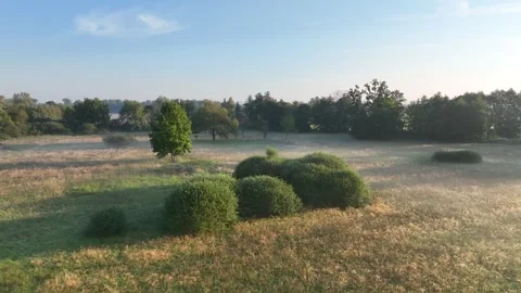 Meadow drone aerial plain floodplain Plane loucky fog morning Europe Stock Footage 297635731
