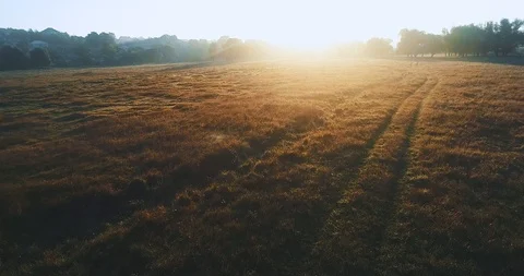 A meadow during a blinding sunrise. Stock Footage 114437880