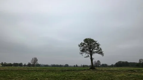 Meadow in eastern Europe, clouds moving in the sky.  Stock-Footage 107099127