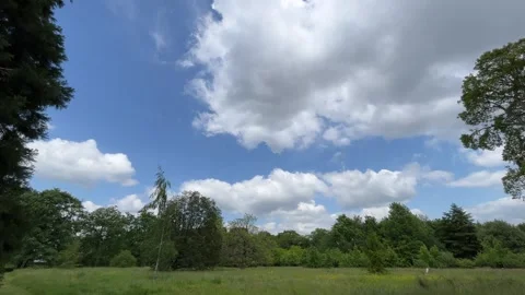 Meadow in England Stock Footage 242874289