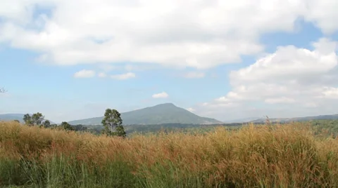 Meadow  field Stock Footage 33494772