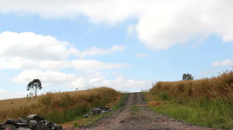 Meadow  field Stock Footage 33495023