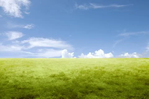 Meadow field Stock Photos
