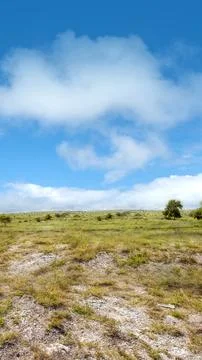 Meadow field Stock Photos