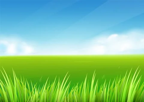Meadow field. Summer or spring nature background with green grass landscape Ilustración de archivo