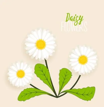 Meadow floral background Stock Illustration