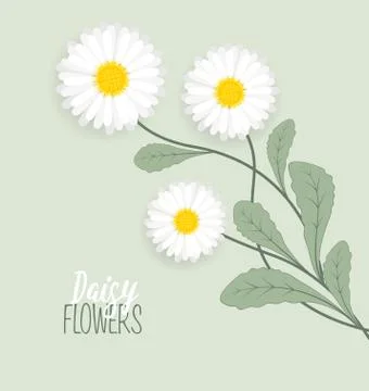 Meadow floral background Stock Illustration
