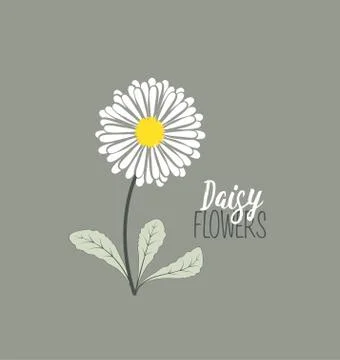 Meadow floral background Stock Illustration