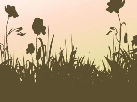 Meadow floral silhouettes background, vector illustration Stock Illustration