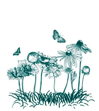 Meadow flowers engraved grass vector illustration sketch Stock Illustration