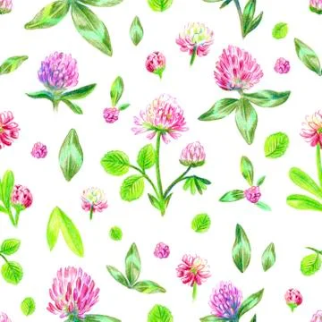 Meadow flowers Stock Illustration