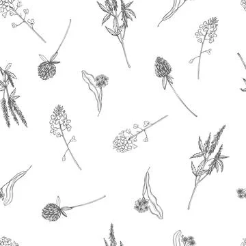 Meadow flowers. Vector pattern. Stock Illustration