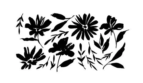 Meadow flowers vector set isolated on white. Stock Illustration