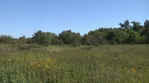 MEADOW Stock Footage 11182788