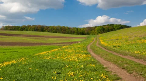 Meadow Video stock 23103024