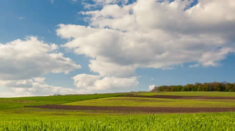 Meadow Video stock 23103053