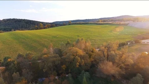 Meadow Stock Footage 122337775