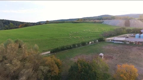 Meadow Stock Footage 122337863