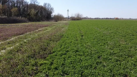 Meadow Stockbeeldmateriaal 127594057