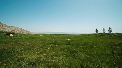 Meadow Stock Footage 134286515