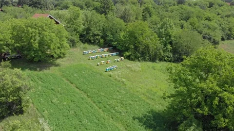 Meadow Stock Footage 171571329