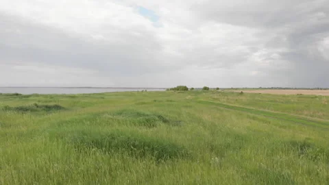 Meadow Stock Footage 276845894