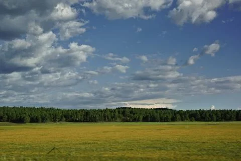 Meadow with forest and dramatic clouded sky in background Stock Photos